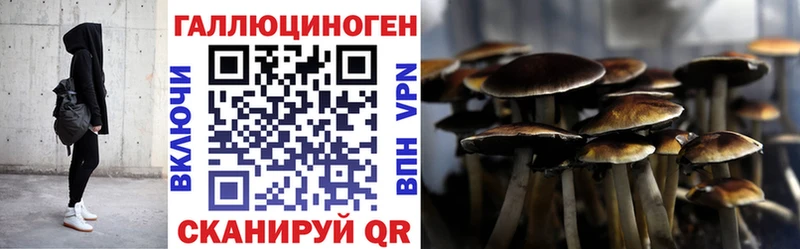 Галлюциногенные грибы прущие грибы  Шадринск 
