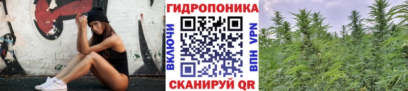 Канабис VHQ  цены   Шадринск 
